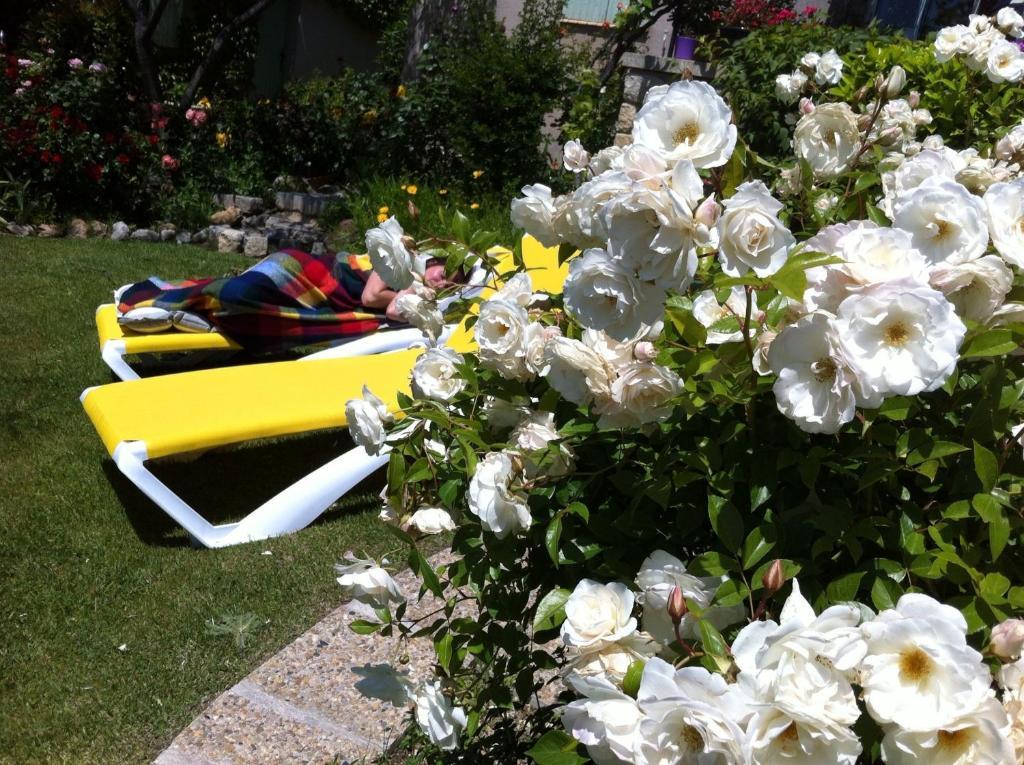 Le Grand Jardin Bed & Breakfast Lafare Exterior photo