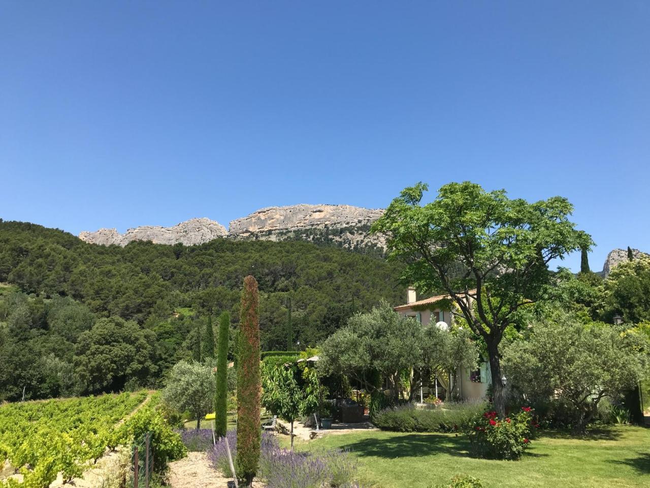 Le Grand Jardin Bed & Breakfast Lafare Exterior photo